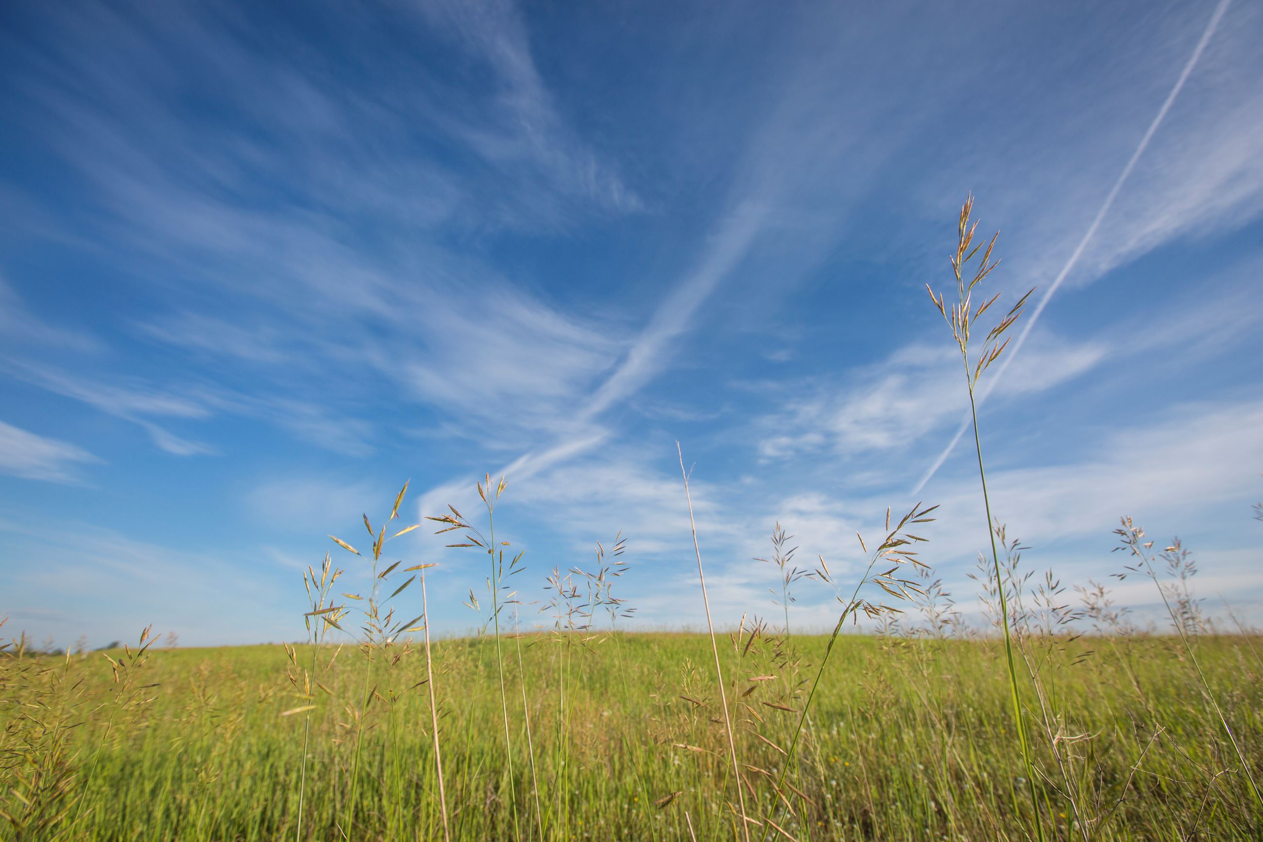 land field at landfill