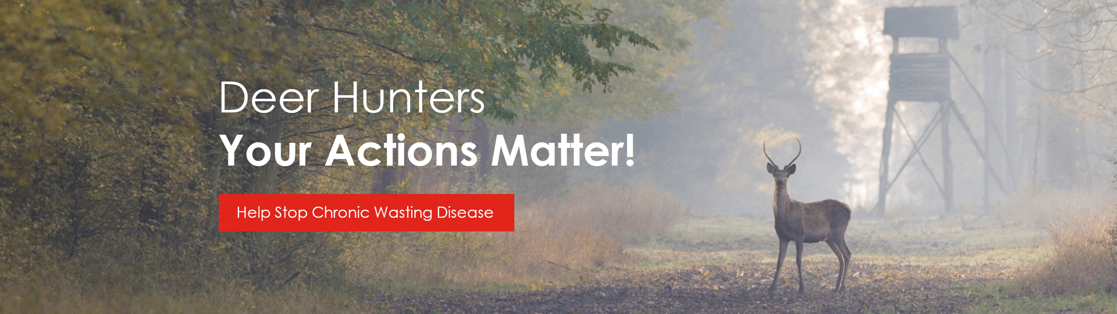 Help Stop Chronic Wasting Disease. Contact Land Services at 218-824-1010 for more information.