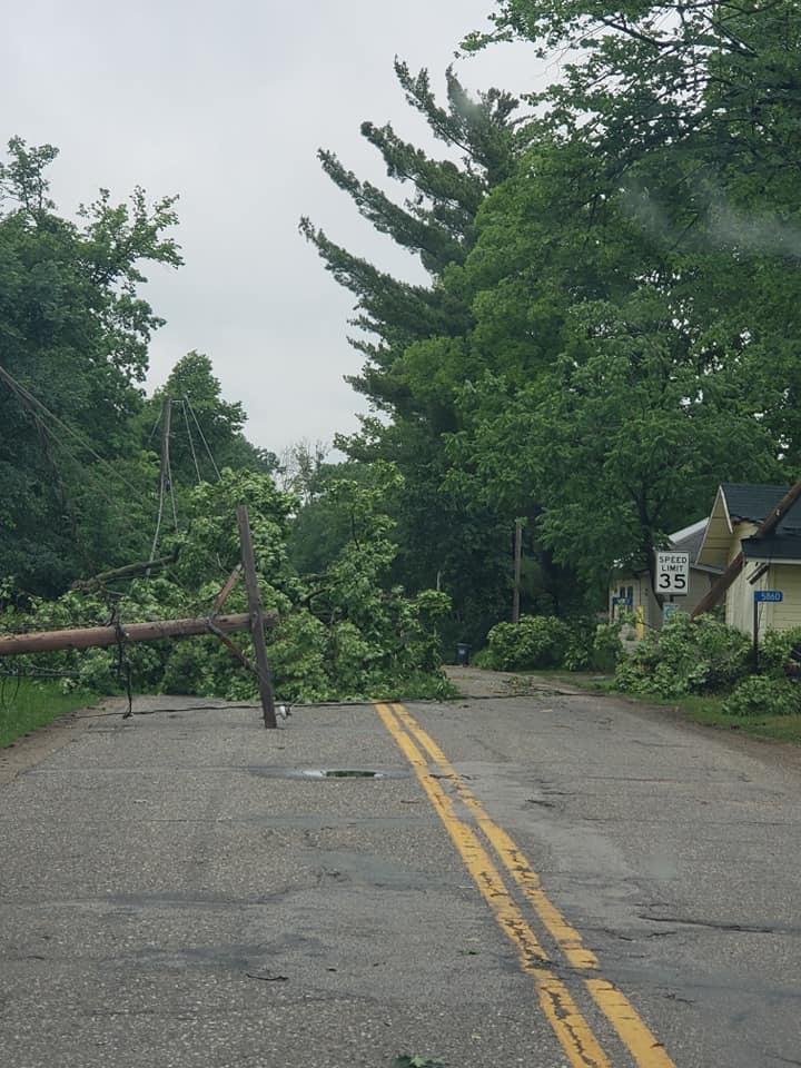 Trees down in road