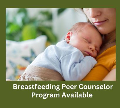 Breastfeeding peer counselor program june 2024 template for website 