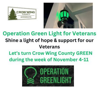 Operation green light 2024 template for website 