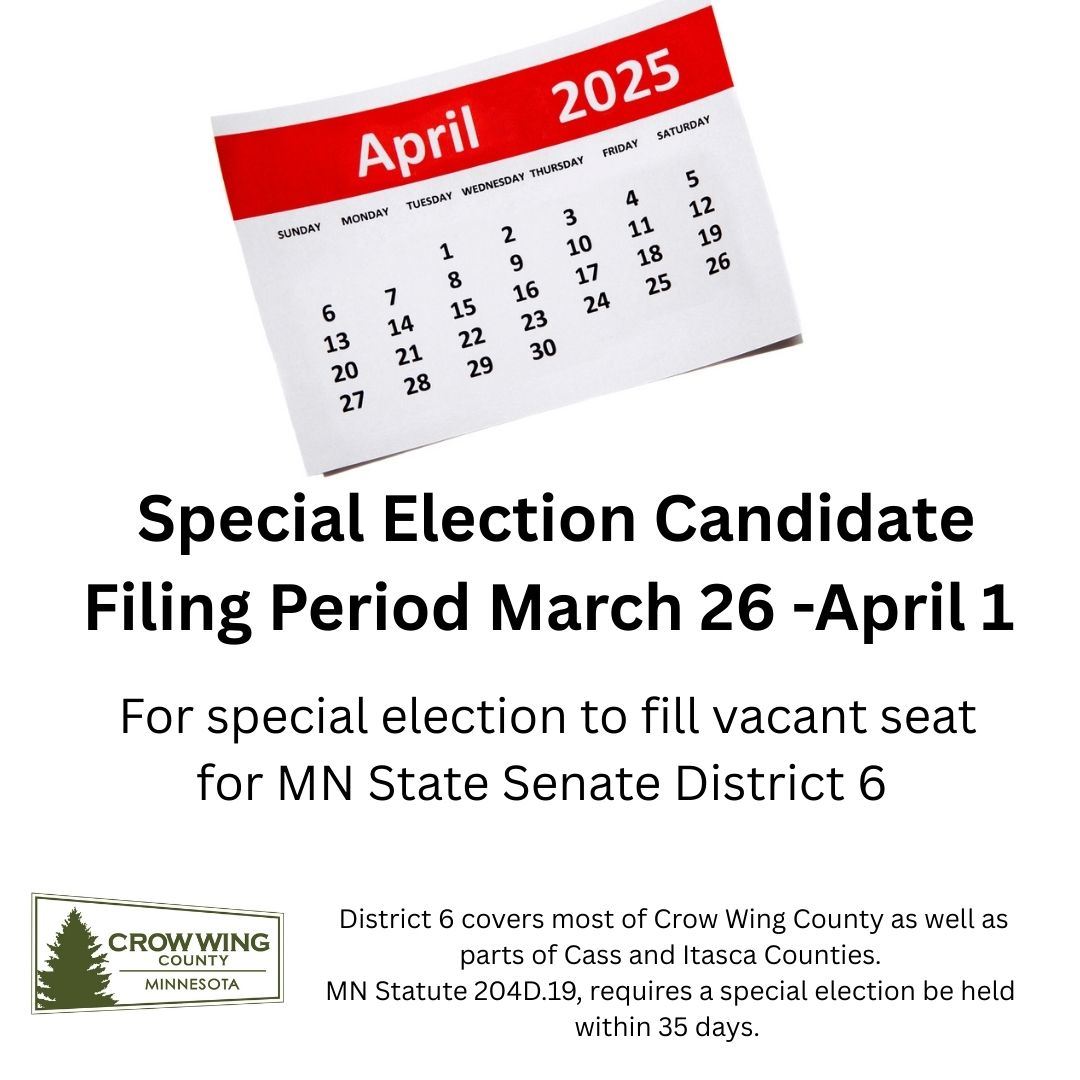 special election april 2025 candidate filing 