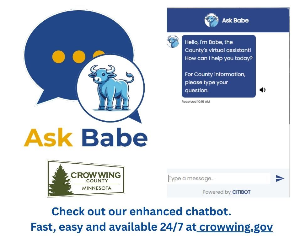 ask Babe canva for website 