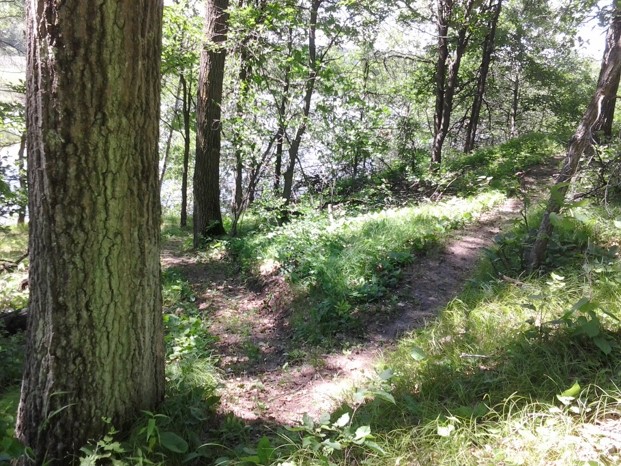 Gillespie Lake Trails